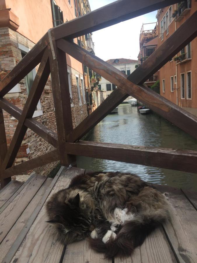 Tintoretto 4, 3 Grandi Camere Da Letto, 2 Bagni Venice Exterior photo